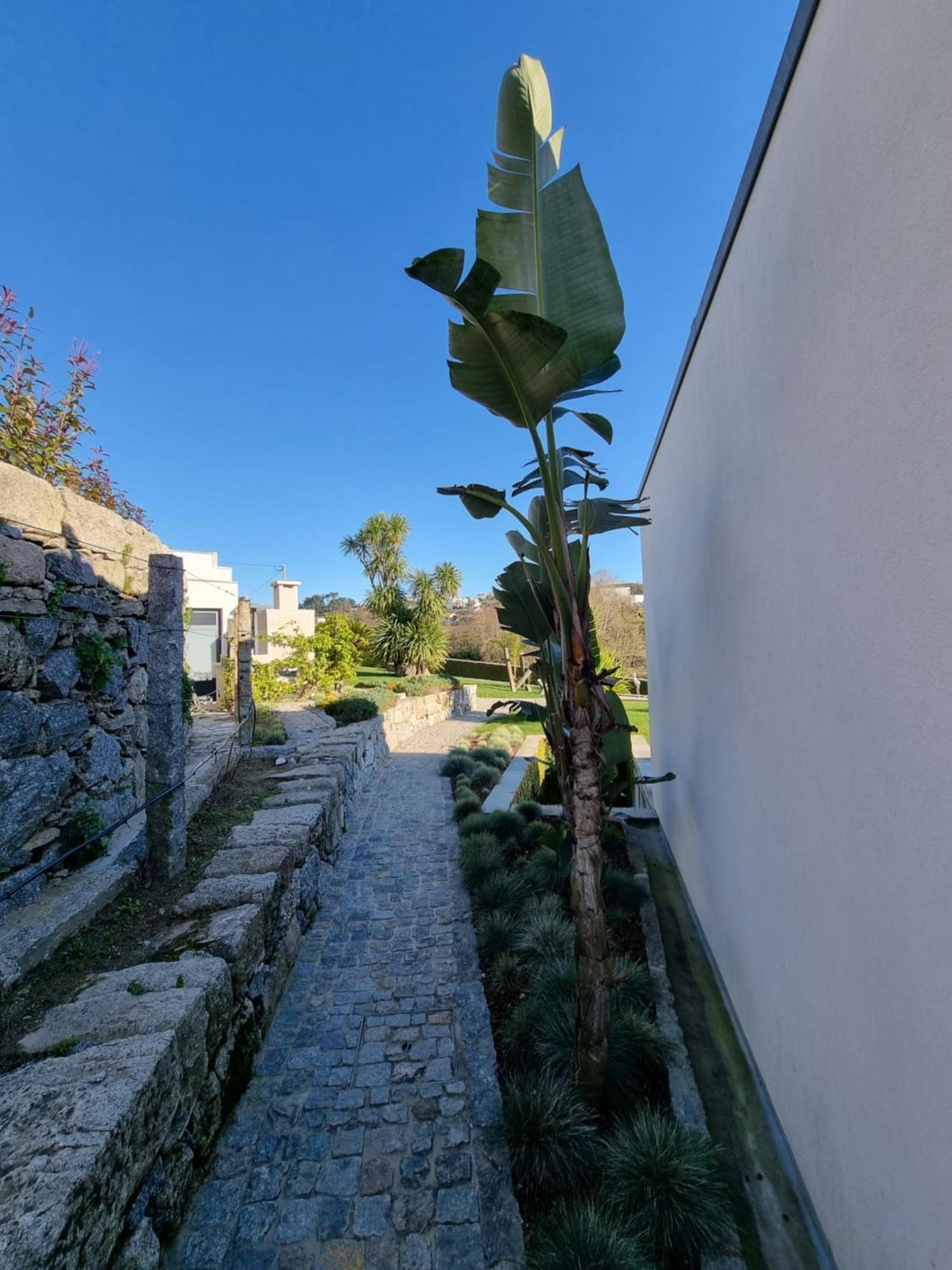 Casa Da Leira Villa Amarante Exteriör bild