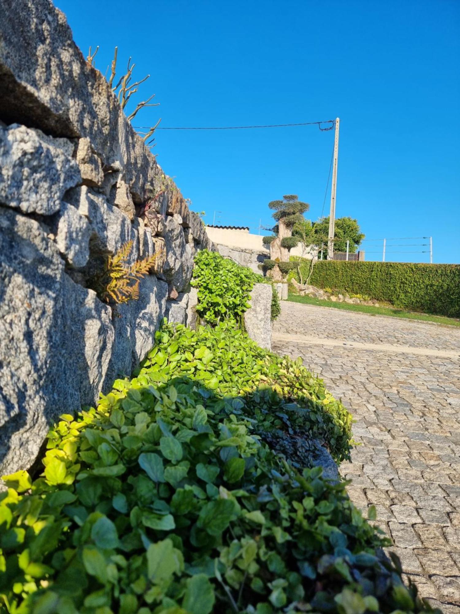 Casa Da Leira Villa Amarante Exteriör bild