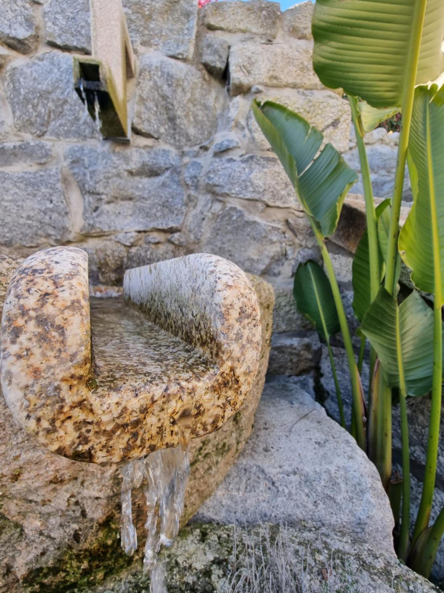 Casa Da Leira Villa Amarante Exteriör bild