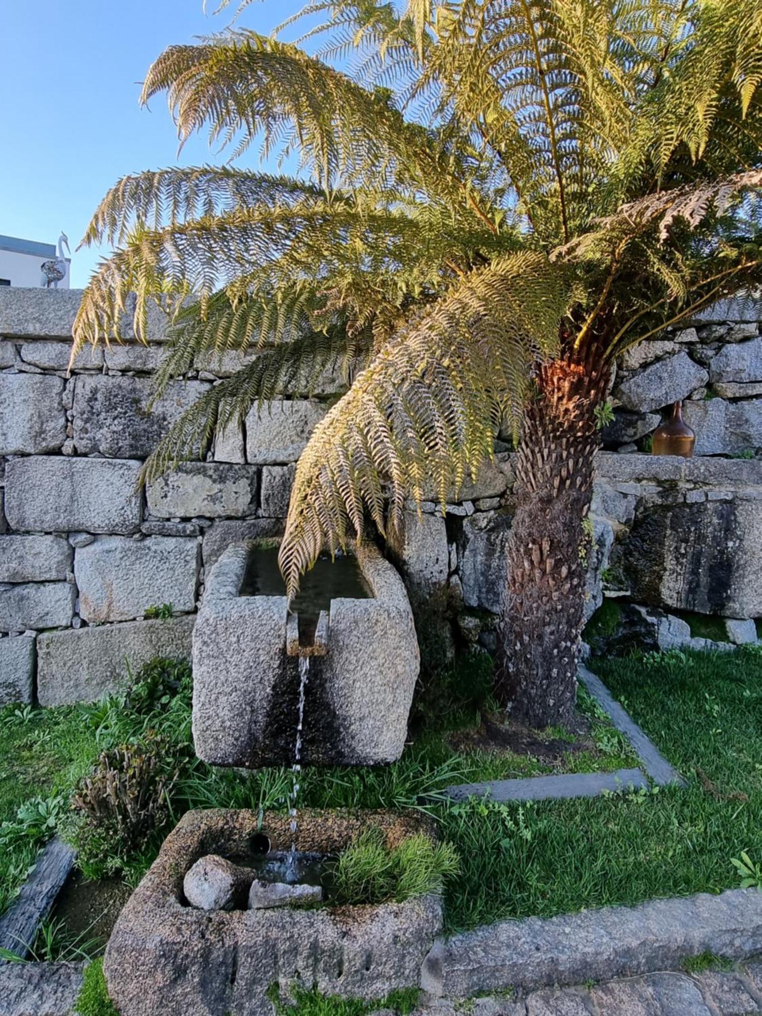 Casa Da Leira Villa Amarante Exteriör bild